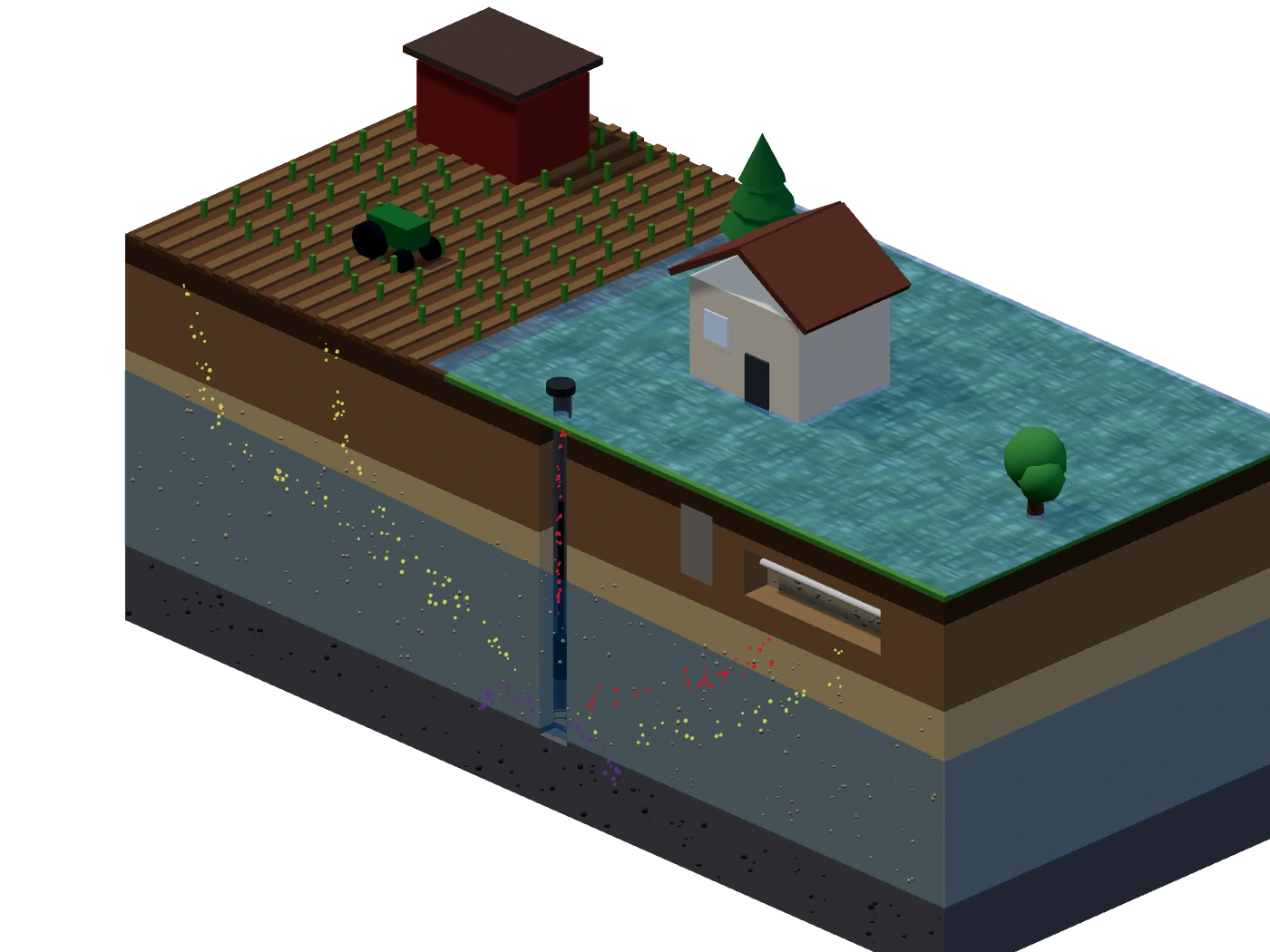 Isometric landscape section with a farm field, a cottage, its well and a septic tank and drainfield. Slow plumes drift with the groundwater toward the well: nitrate from the field and the drainfield, bacteria from the drainfield, and arsenic leaching from bedrock. After heavy rain, flood water finds its way down a poorly sealed well.